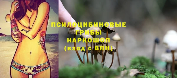 прущие крисы Володарск