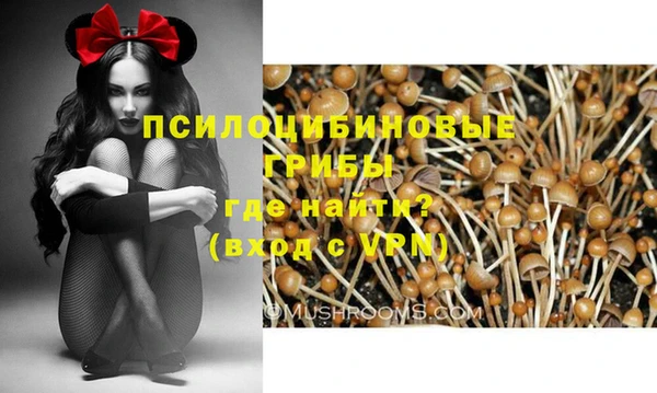 прущие крисы Володарск