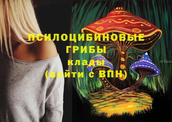 крисы Волоколамск